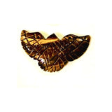 Tiger Eye Original Phoenix Necklace